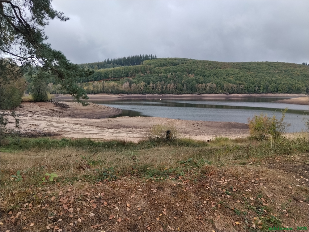 20261010-173516-fred.jpg